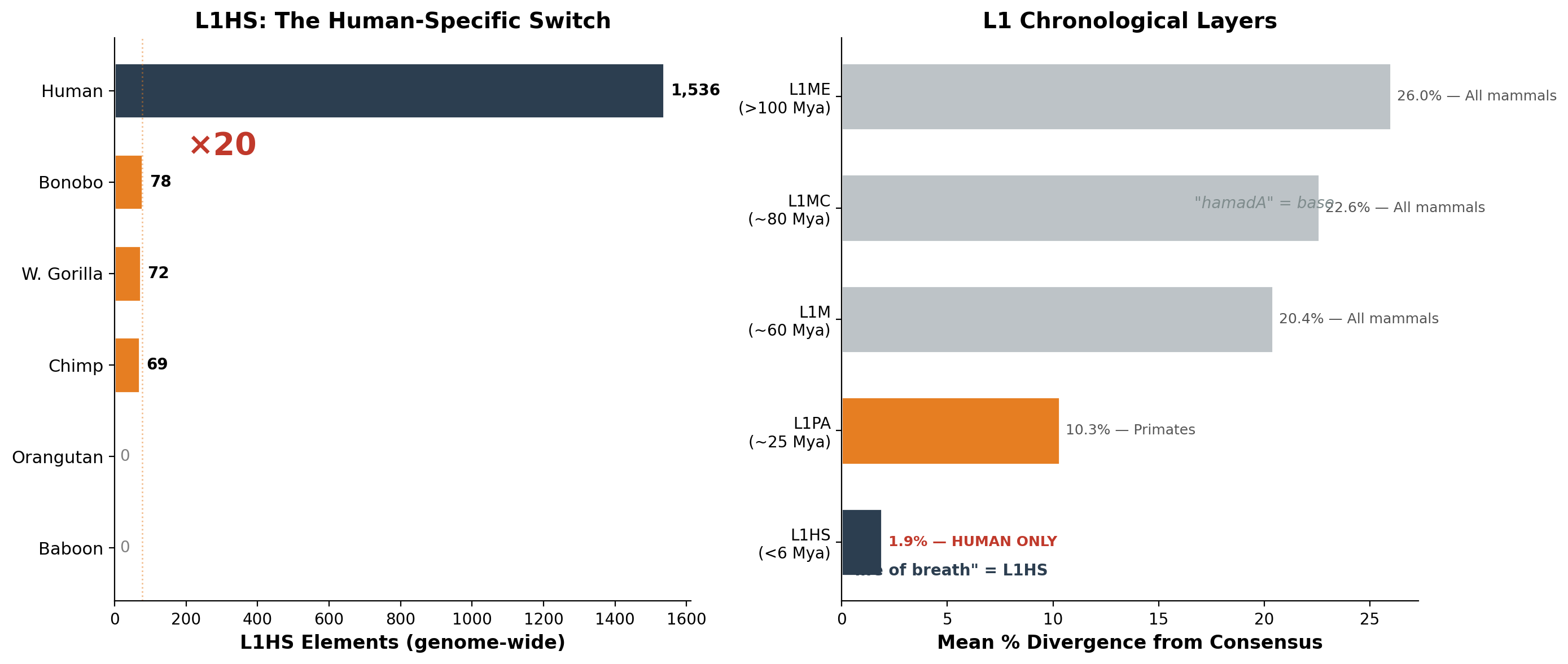 L1HS: The Human-Specific Switch